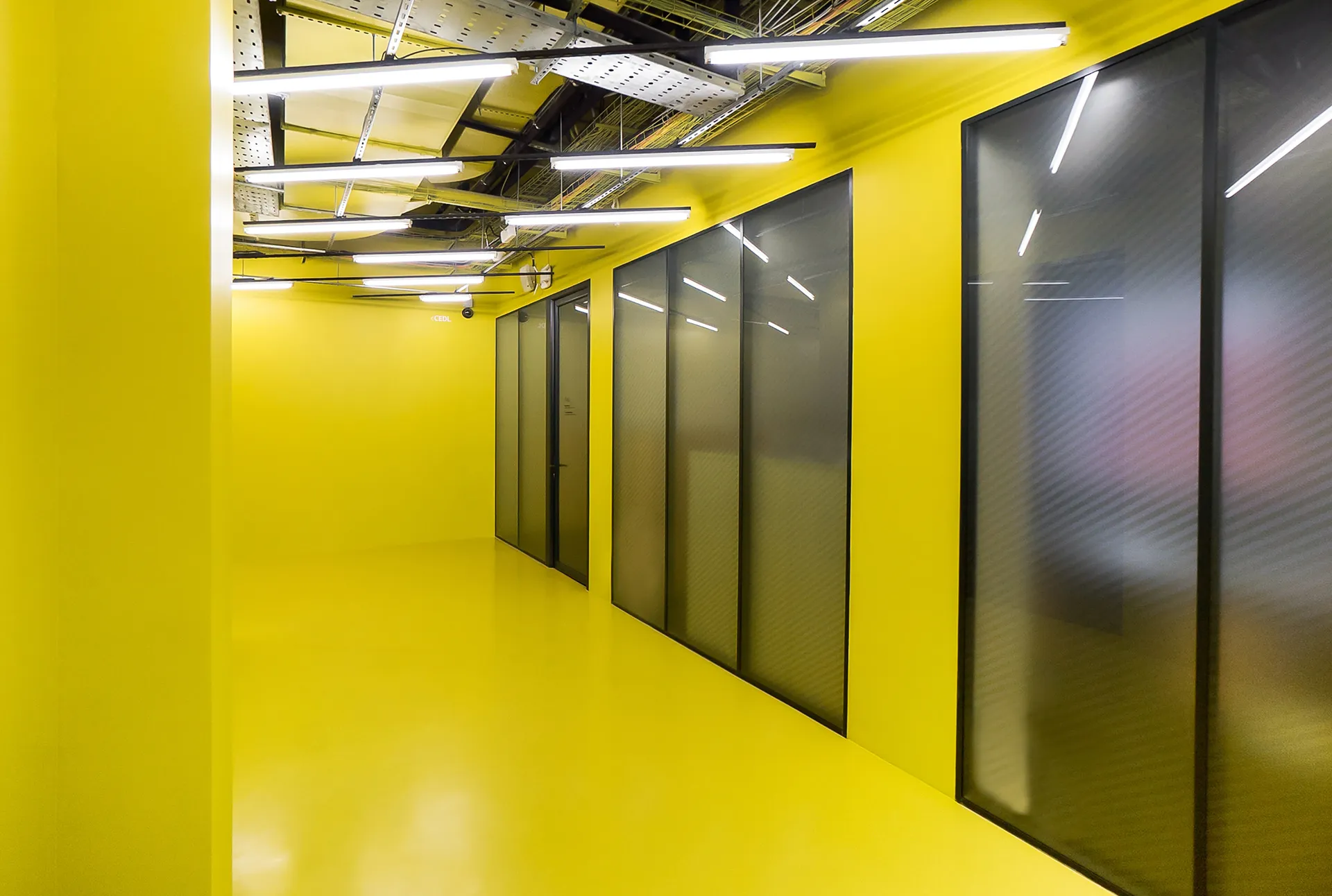 Yellow circulation and linear lighting