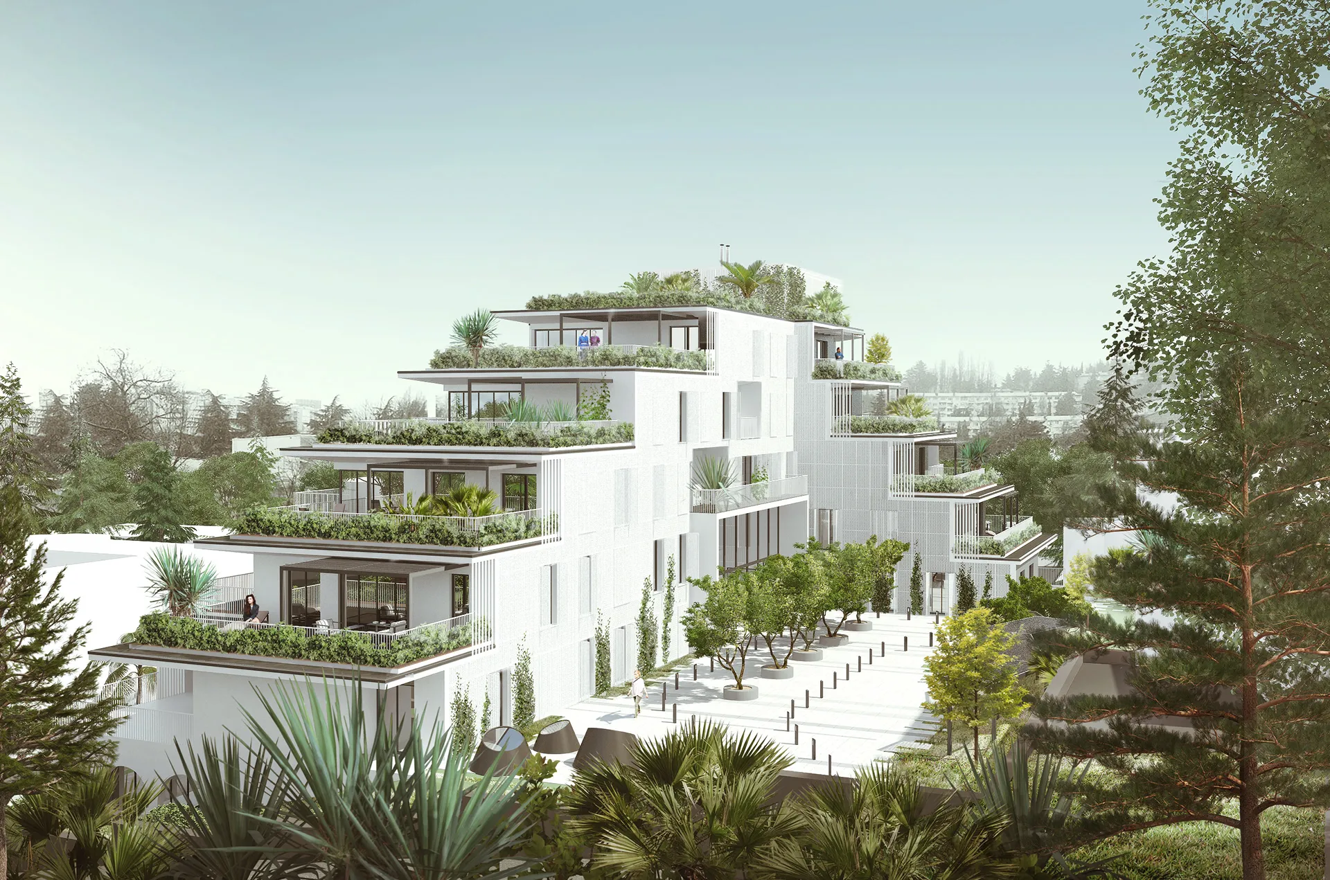 Visualization looking towards the planted terraces from uphill
