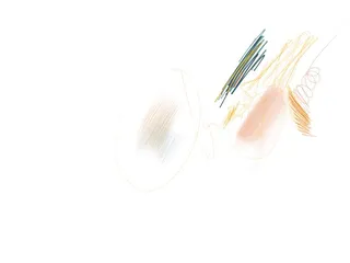A loose drawing made before the substance was settled