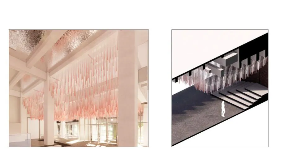 Canopy studies in perspective and section