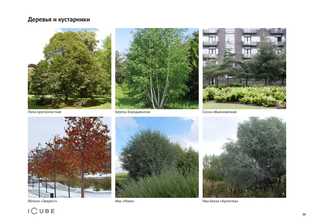 Tree and shrub reference palette