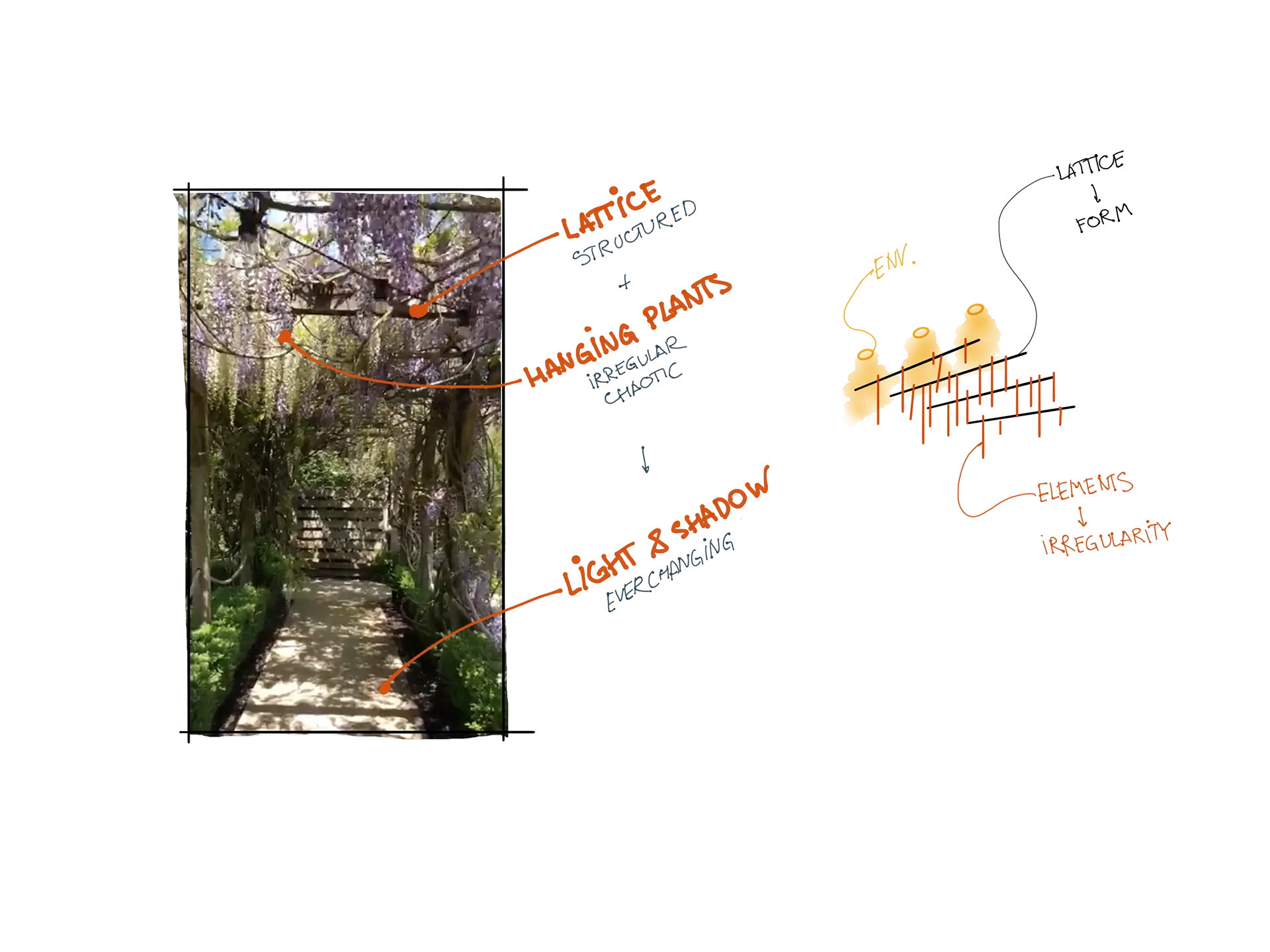 Sketch notes on the experience beneath a tree canopy