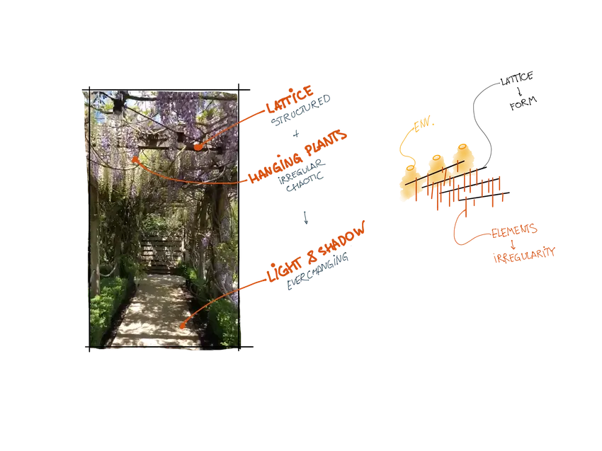 Annotated reference study of light, plants and a lattice structure