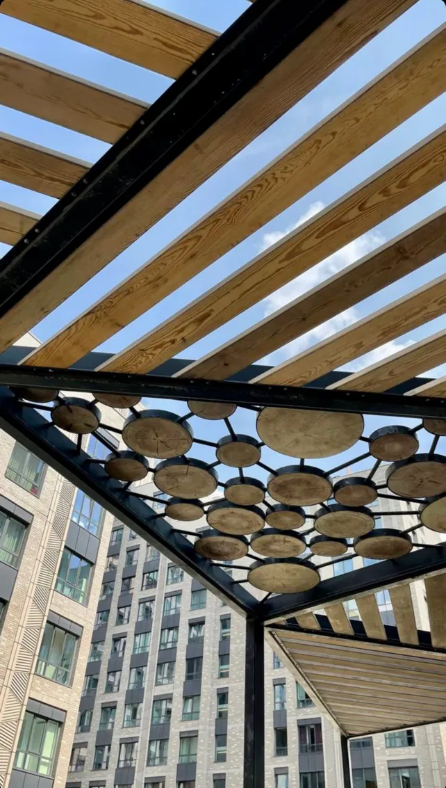 Photograph beneath a built pergola