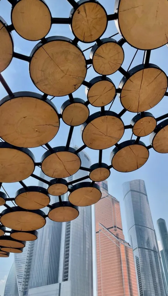 Photograph of the circular canopy elements