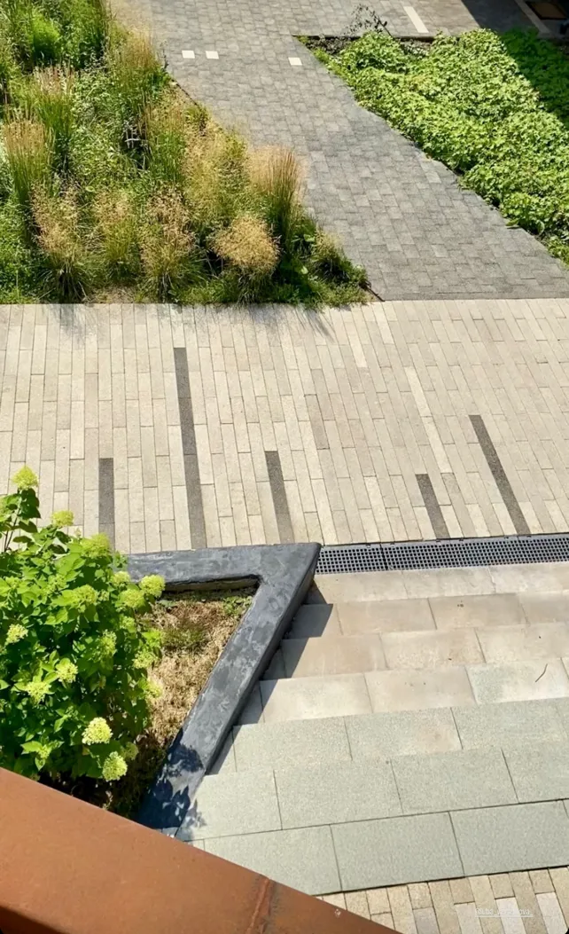 Photograph of paving and planted edges