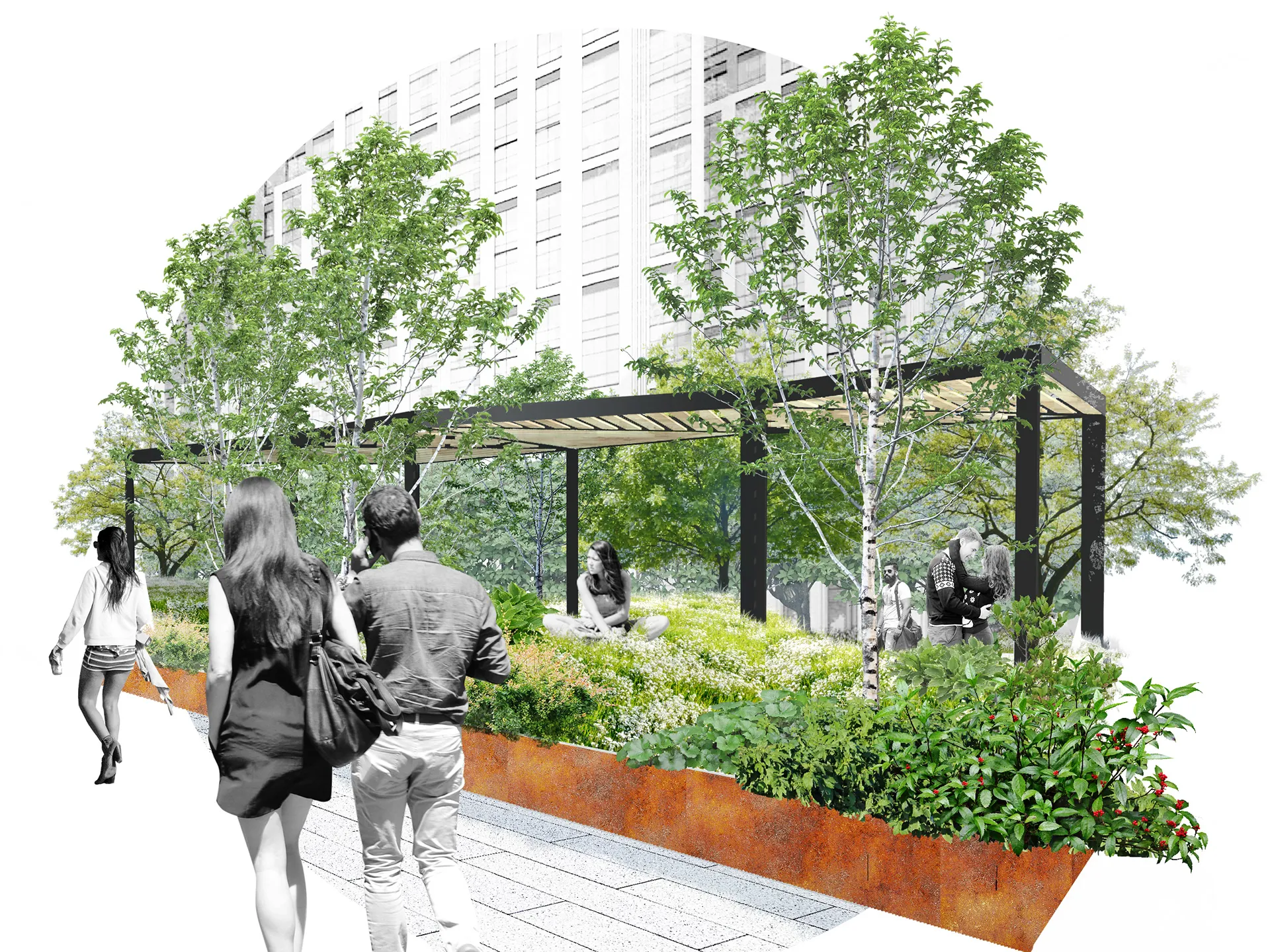 Collage study of a pergola among planting