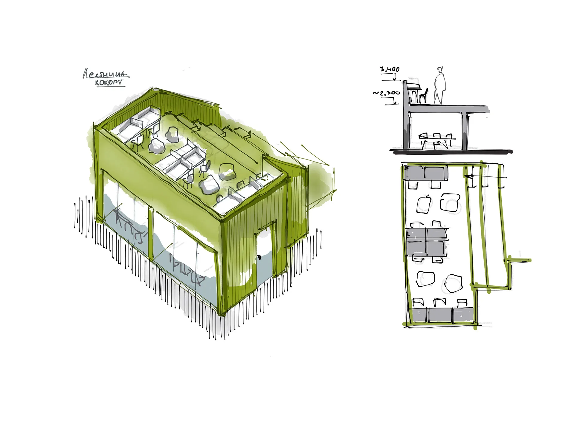 Cohort sketch with plan and section